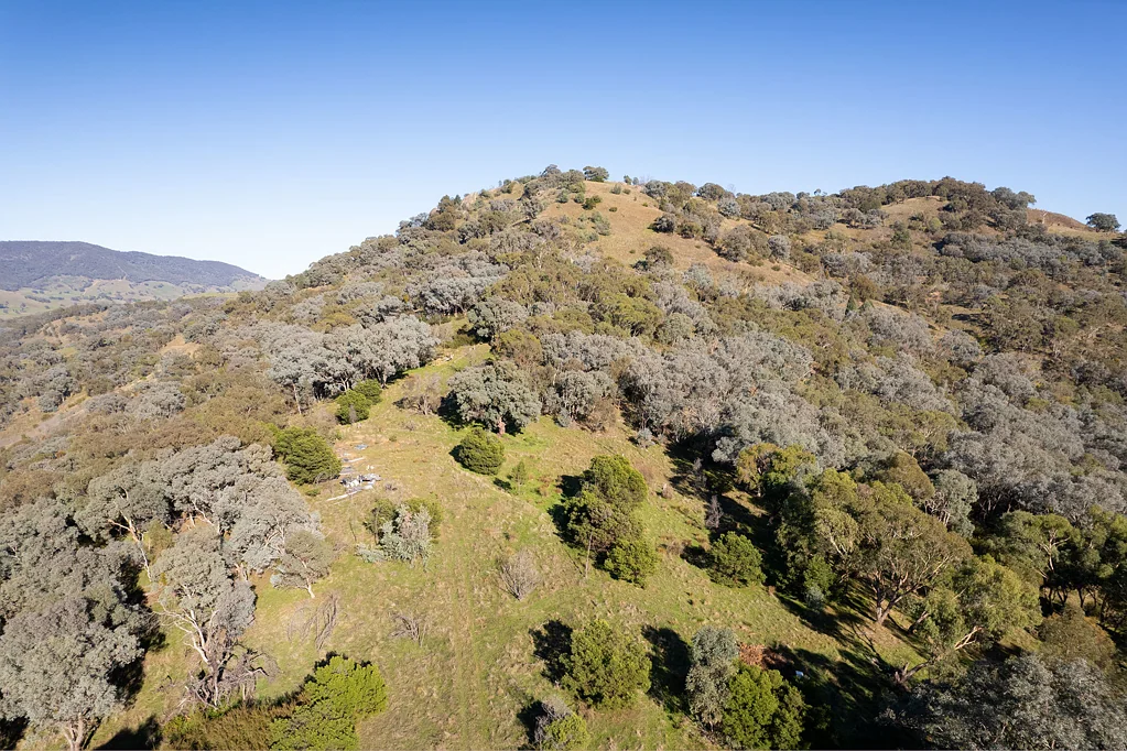 Leneva  LENEVA - Dream Homesite Or Escape On 185 Acres