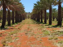 . High River Stock Route, Alice Springs