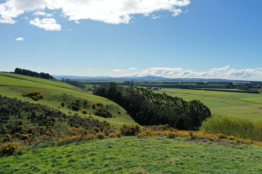 Oamaru  TRANQUILLITY WITH STUNNING VIEWS