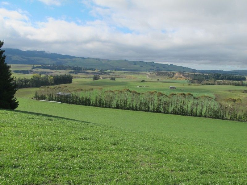 273 Waihaorunga Road, Waihaorunga, Waimate, 4 Bedrooms, 1 Bathrooms