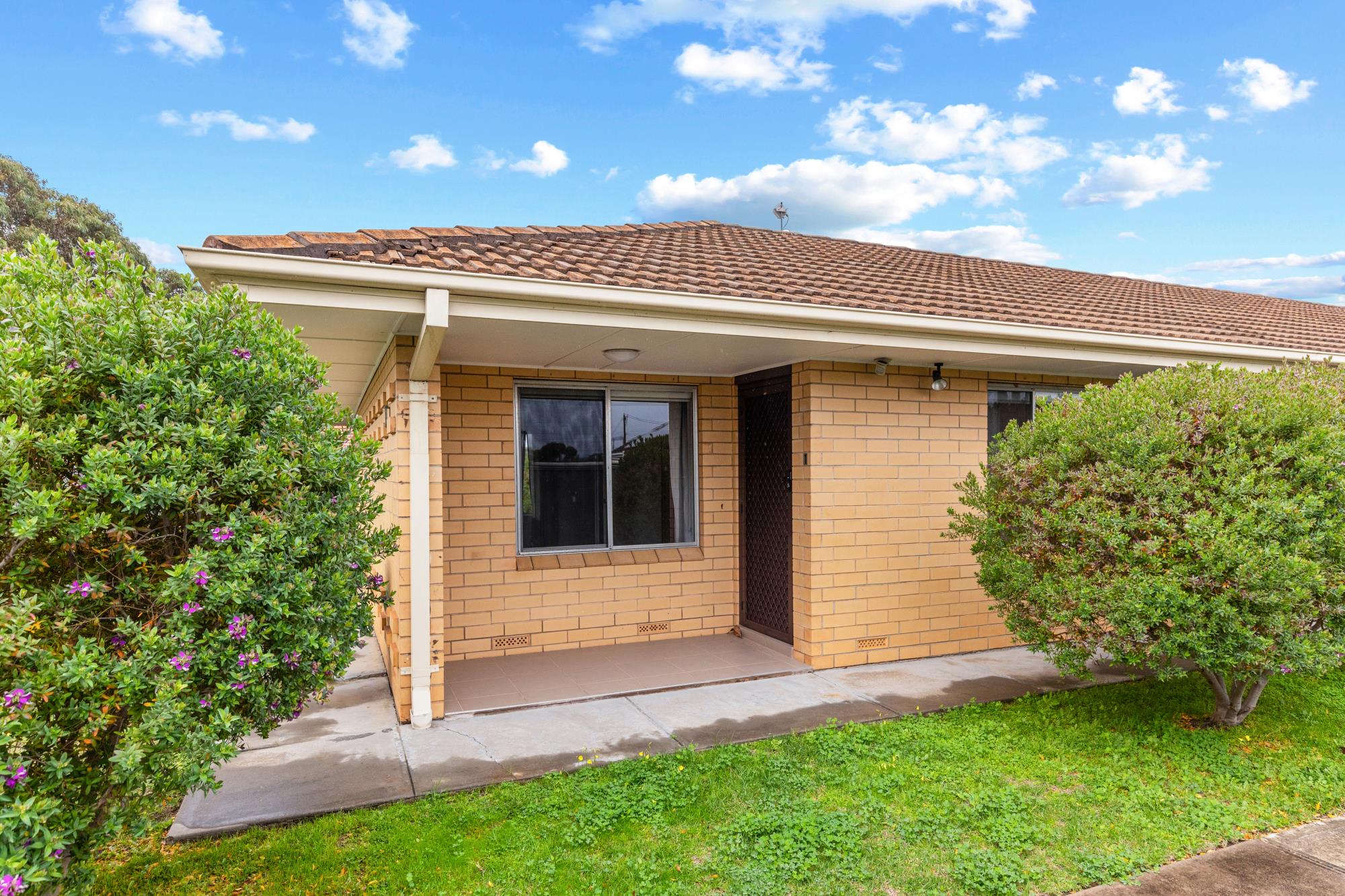 UNIT 1 2 ALBERT ST, ASCOT PARK SA 5043, 0 habitaciones, 0 baños, Unit