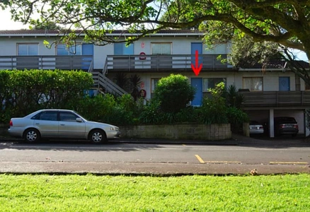 Residential  Terrace Housing and Apartment Building Zone