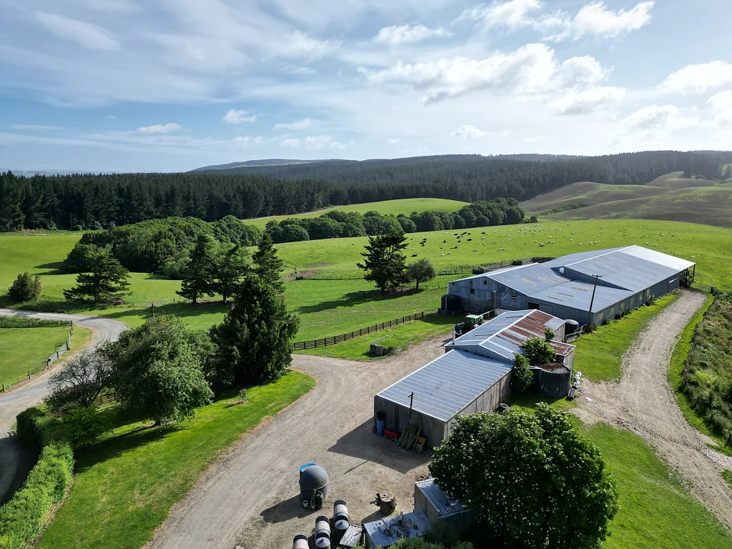 Waitahuna High performing sheep, beef and forestry