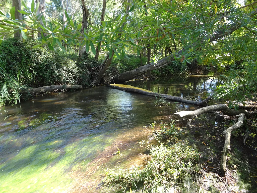 Moyhu Farm Full Time - or for Lifestyle.