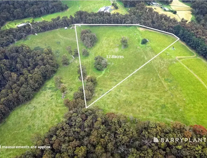 230 Mount Eirene Road, Gembrook, VIC 3783, 0房, 0浴, 建地