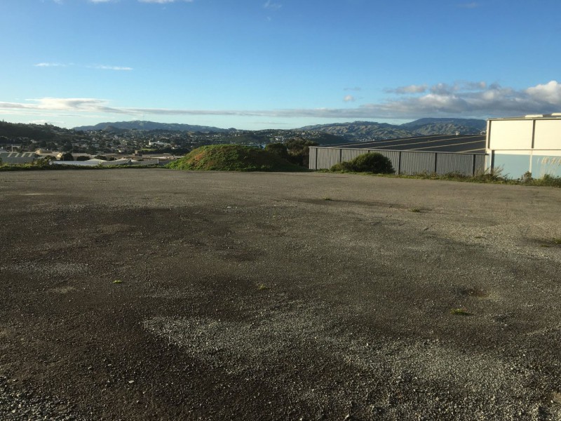 15 Makaro Street, Elsdon, Porirua, 0房, 1浴, Industrial Premises