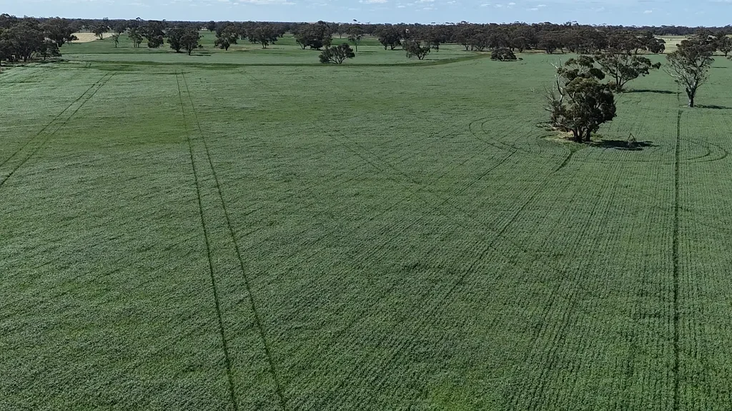 Bordertown  Genuine Mixed Farming / Irrigation Property