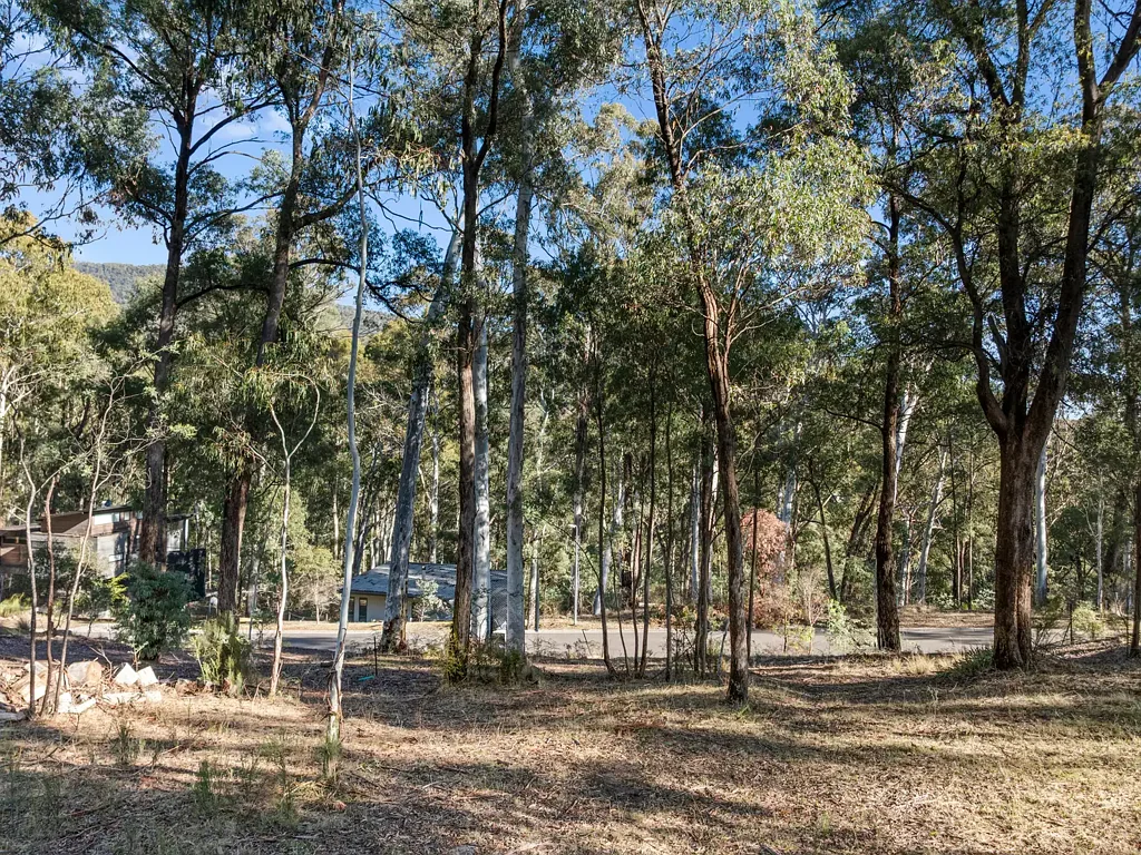 Sawmill Settlement The Perfect Base for Adventure
