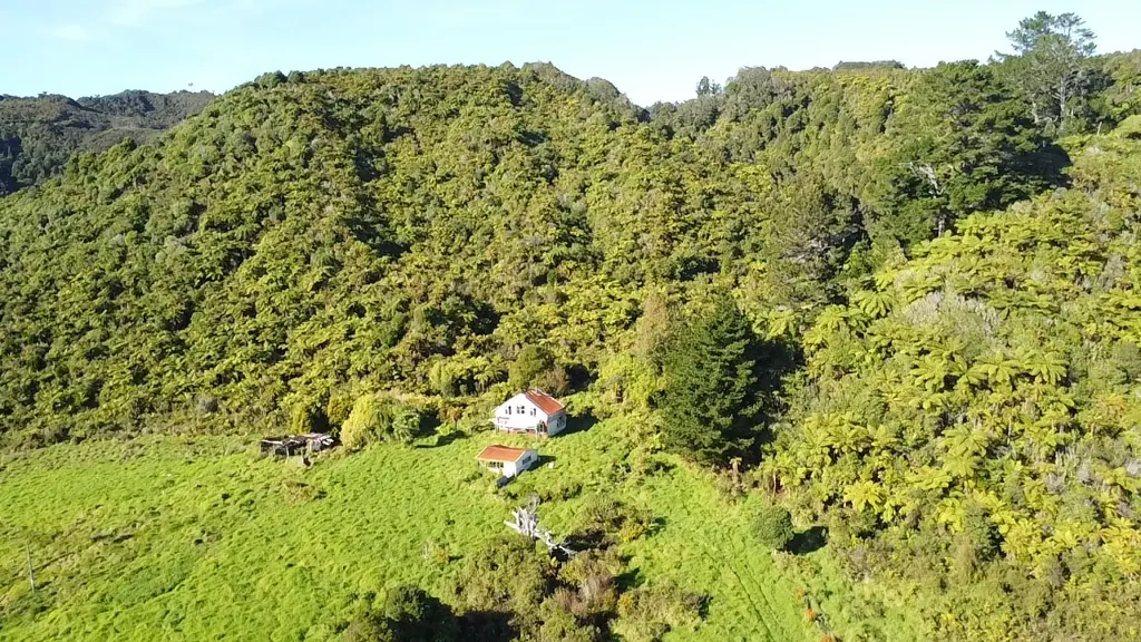 Seddonville Larger Lifestyle Opportunity at Nikau