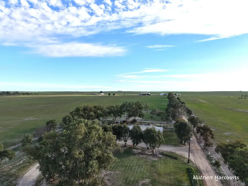 Milo Livestock Cattle Breeding & Grazing Property