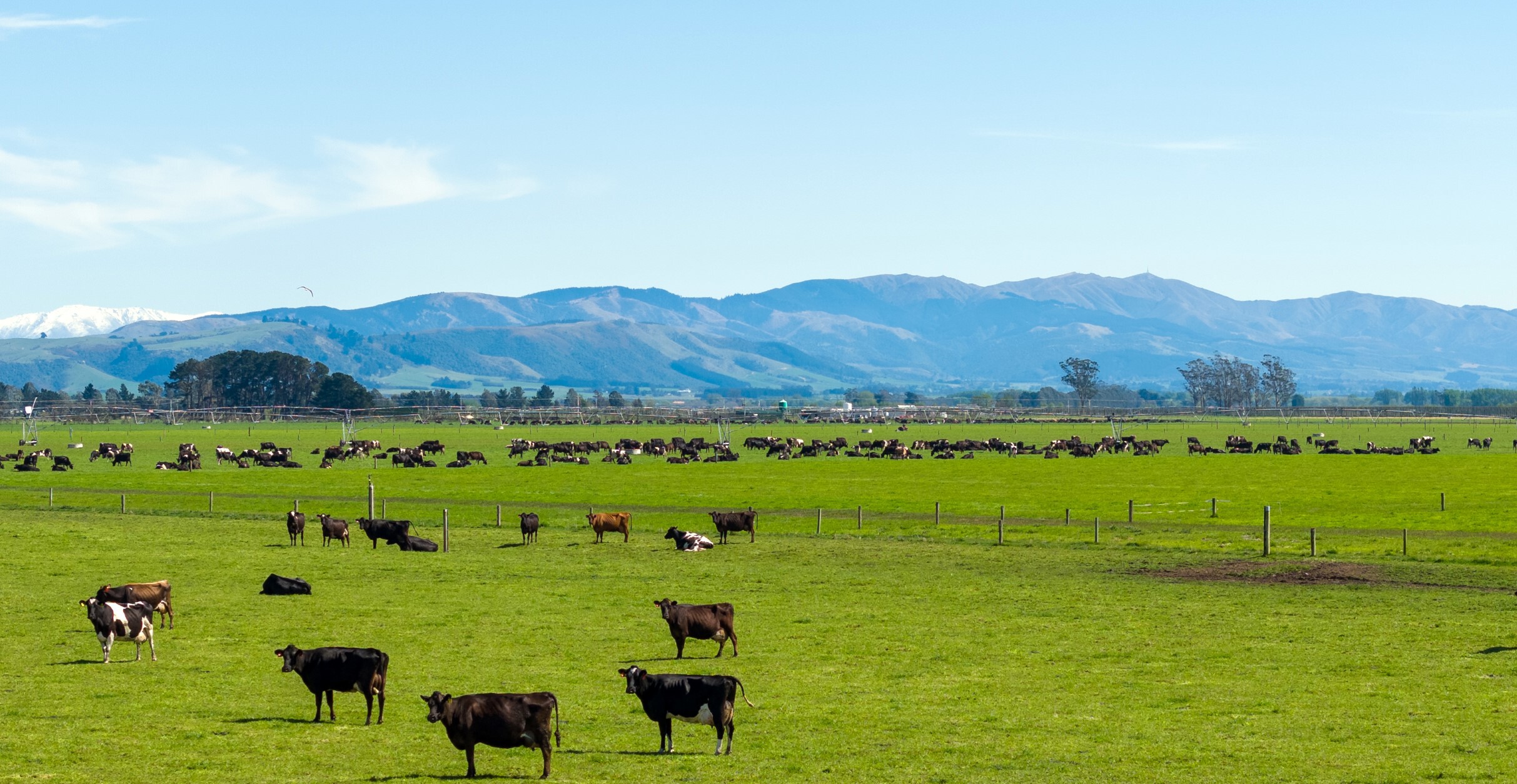 310 Morris Road, Morven, Waimate, 0 રૂમ, 0 બાથરૂમ, Dairy