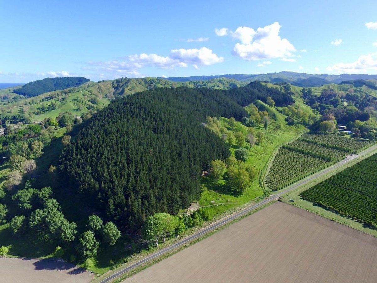 Williams Road, Muriwai, Gisborne, 0 rūma, 1 rūma horoi