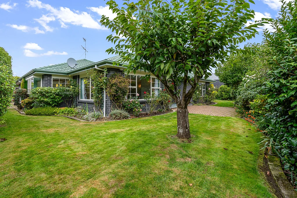 Rosedale 2房  Sunny, Comfortable, and Convenient in Rosedale