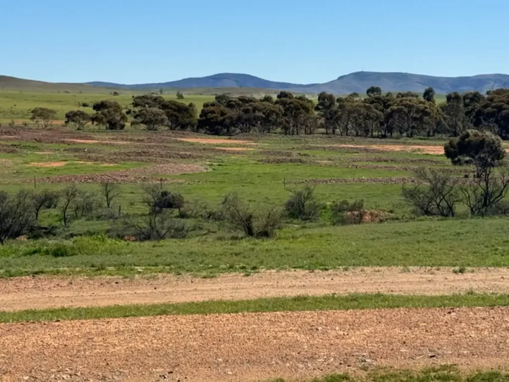 LOT 136/2 Second Street, Carrieton, SA 5432