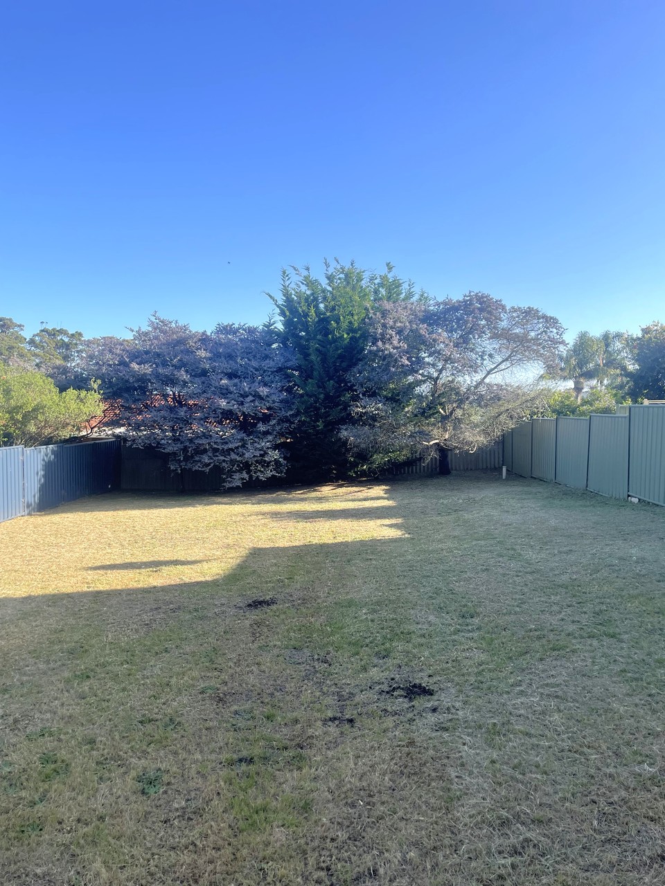 2A POWLEY ST, DENMARK WA 6333, 0 Kuwarto, 0 Banyo, Section