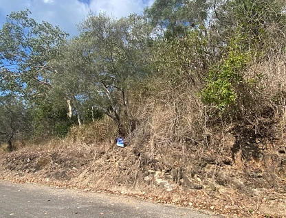 Lot CV Awesome Blue, Keswick Island, Mackay, Mackay, 0 habitaciones, 0 baños, Section