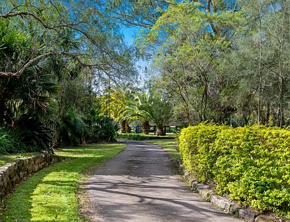 Lot 186 Cooyong Road, Terrey Hills, Northern Beaches, 5房, 2浴, Lifestyle Section