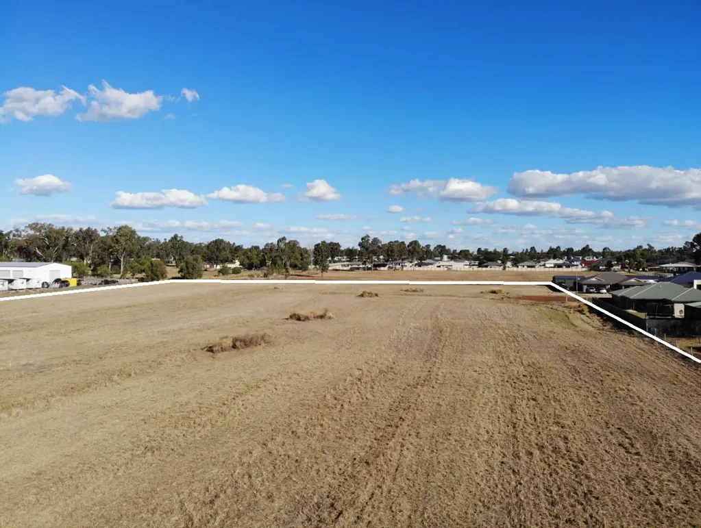 Chinchilla  Great Opportunity