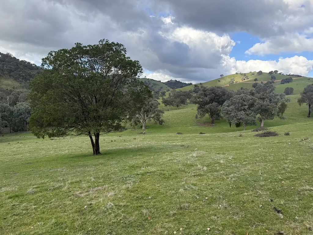 Alexandra  Rural lifestyle with amazing views!