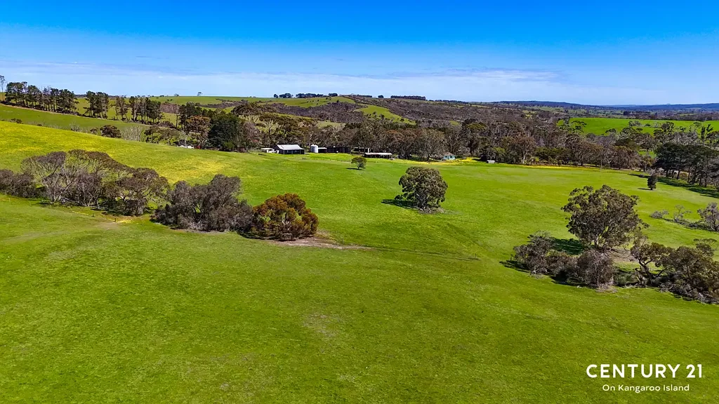 Kohinoor  2265 Playford Highway Kohinoor, 370 Hectares, Mains Water, Sealed Road Frontage