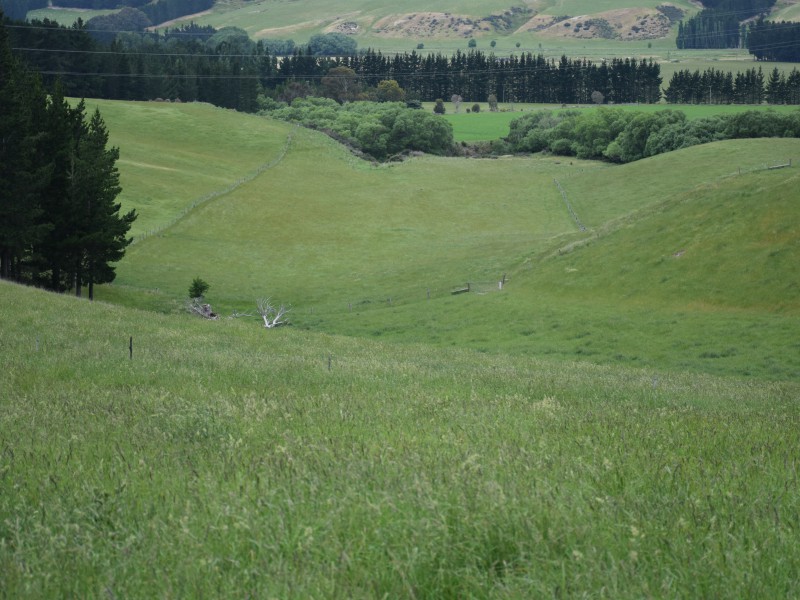 207 Megowans Road, Scargill, Hurunui, 0 habitaciones, 0 baños