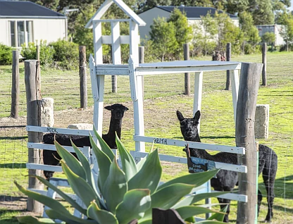 671 Mallokup Road (Stirling Estate), Capel, Bunbury, 4部屋, 5バスルーム, Lifestyle Property