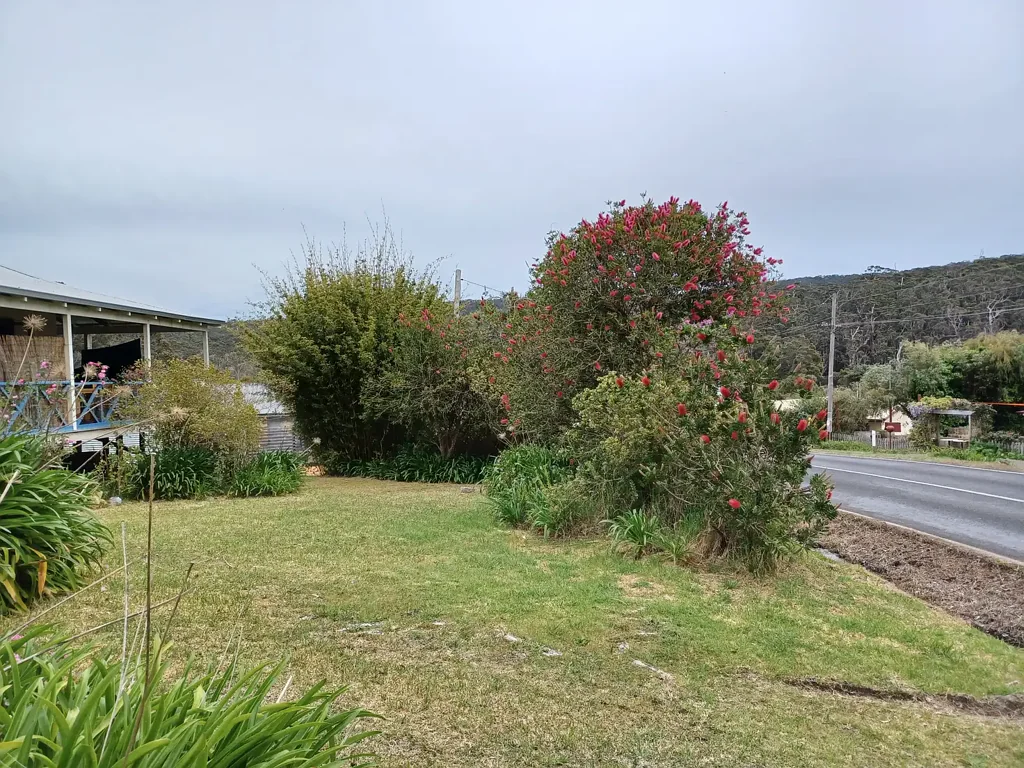 6681 South Coast Highway, Nornalup WA 6333
$400 per week – Gardening & Lawns Included