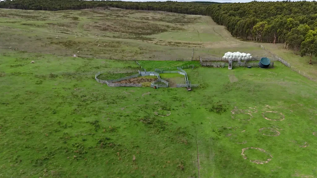 Nelson 124 Acres of Grazing Land