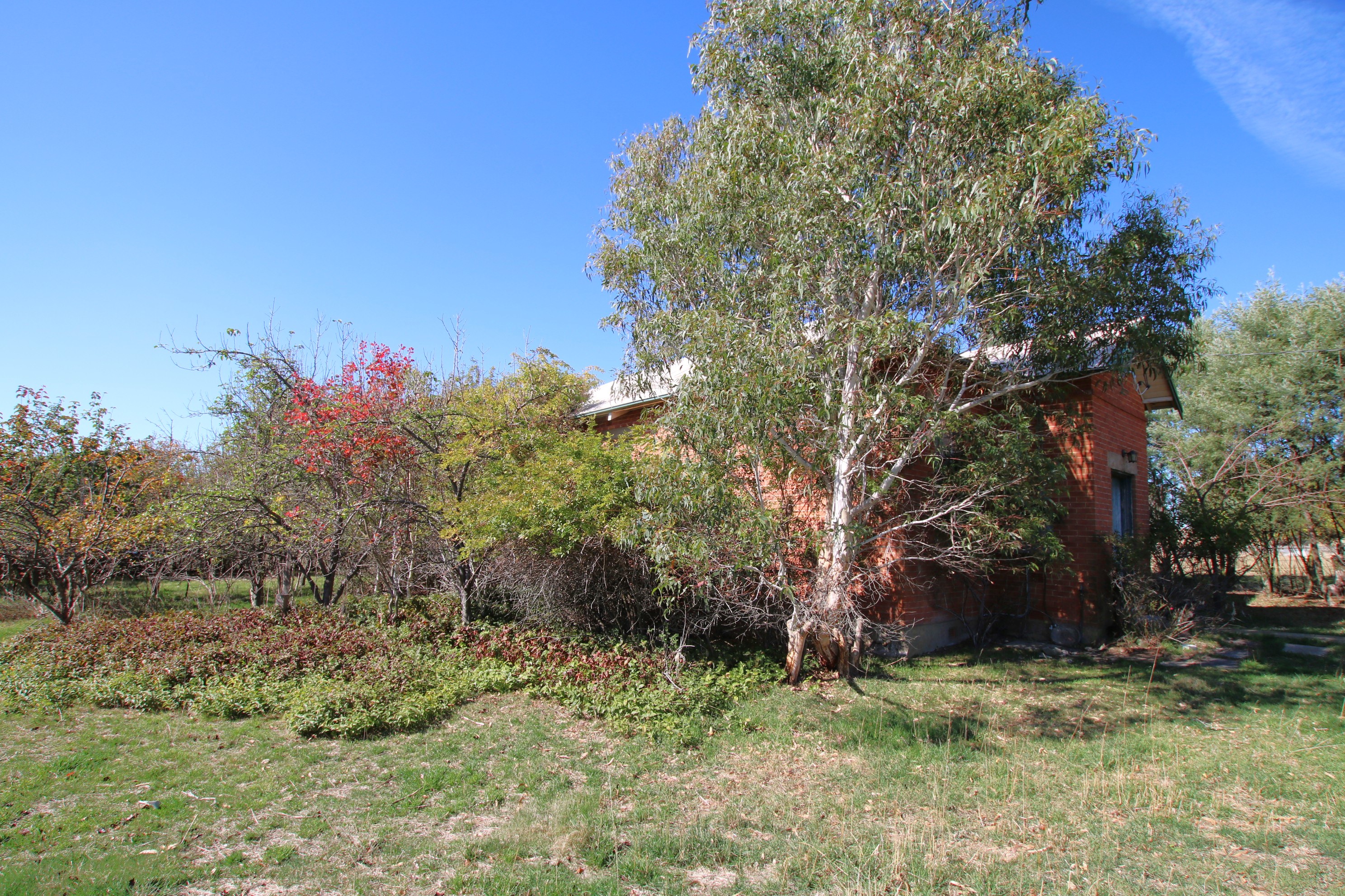 17 CRAIGIE ST, DELEGATE NSW 2633, 0 rūma, 0 rūma horoi, House