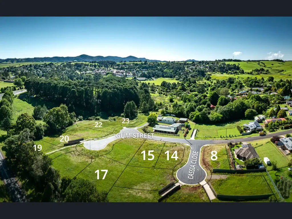 Dorrigo  A beautiful outlook in the beautiful town of Dorrigo.