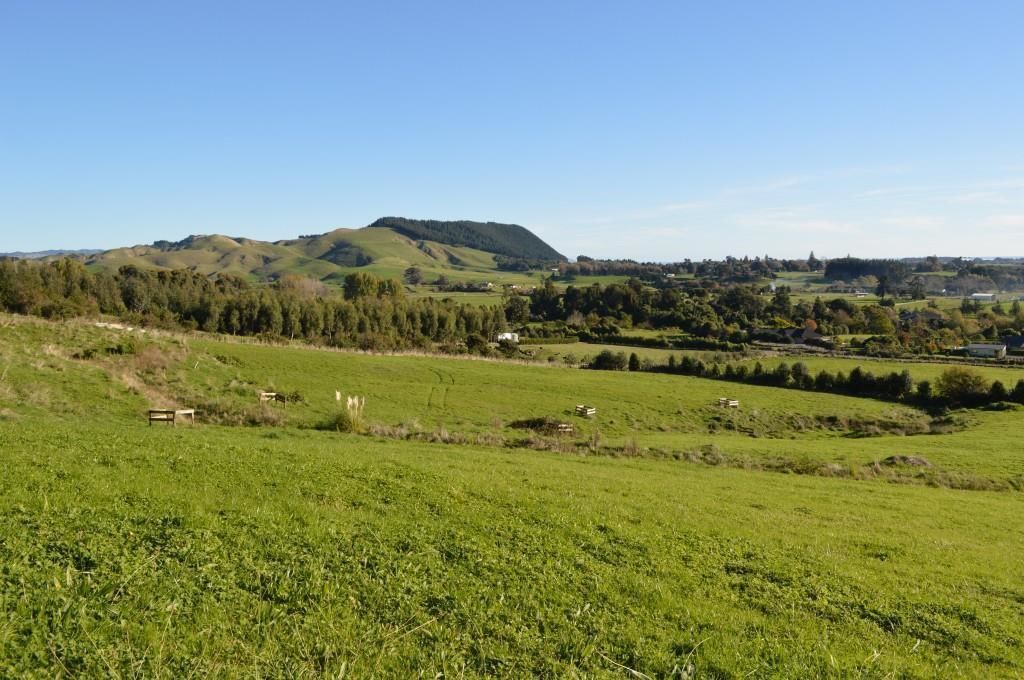 5 Nikau Lane, Manakau, Horowhenua, 3 phòng ngủ, 0 phòng tắm