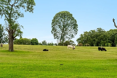 64 Weis Lane, Rous, NSW 2477, 4 slaapkamers, 2 badkamers, Lifestyle Section