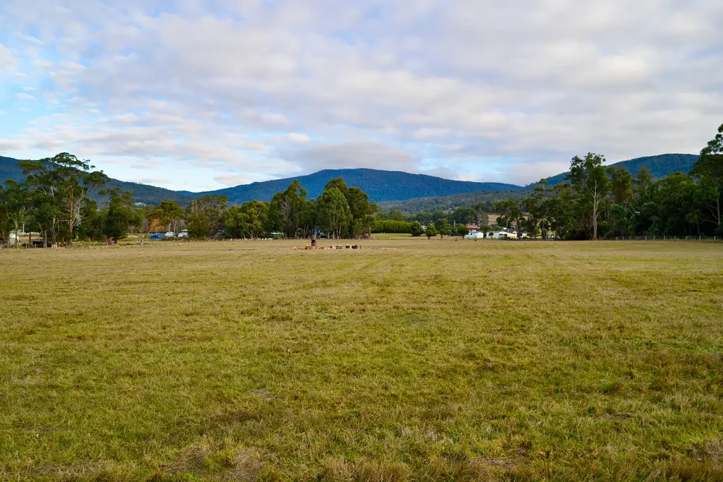 Lachlan  Peaceful Lifestyle Acreage in Sought-After Lachlan