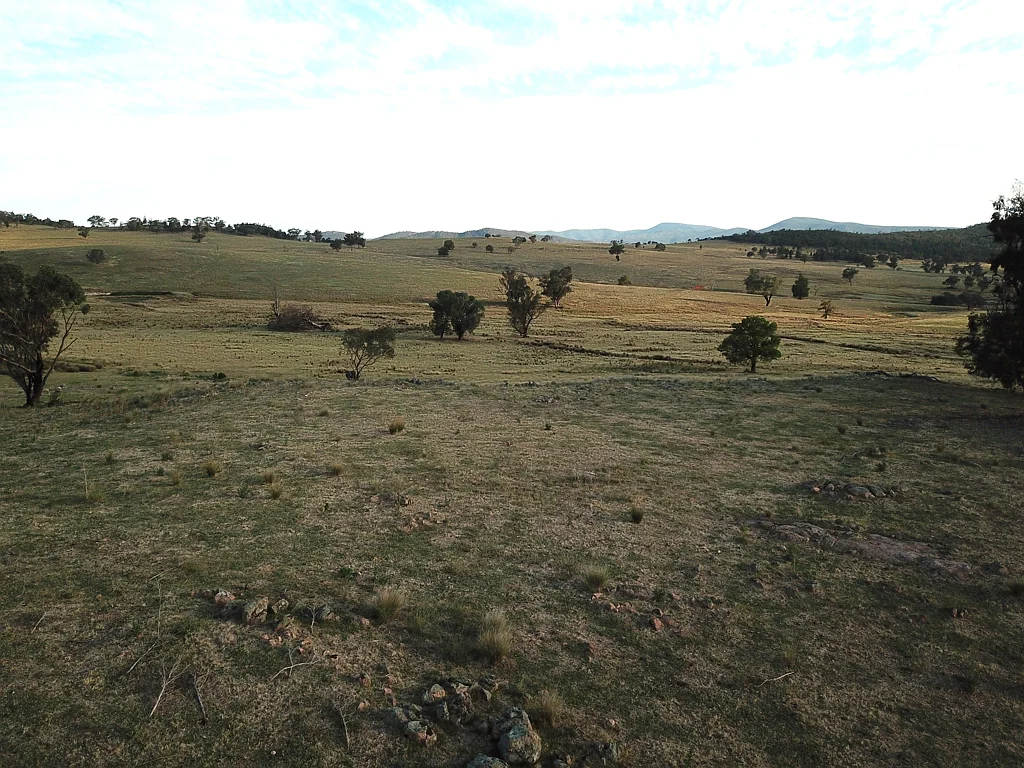 Eugowra  "Babynda", 829 Eulimore Rd, Eugowra 2806 - 533 ha (1317 acres)