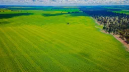 0/'Snowies' Plemings Lane, Coolamon