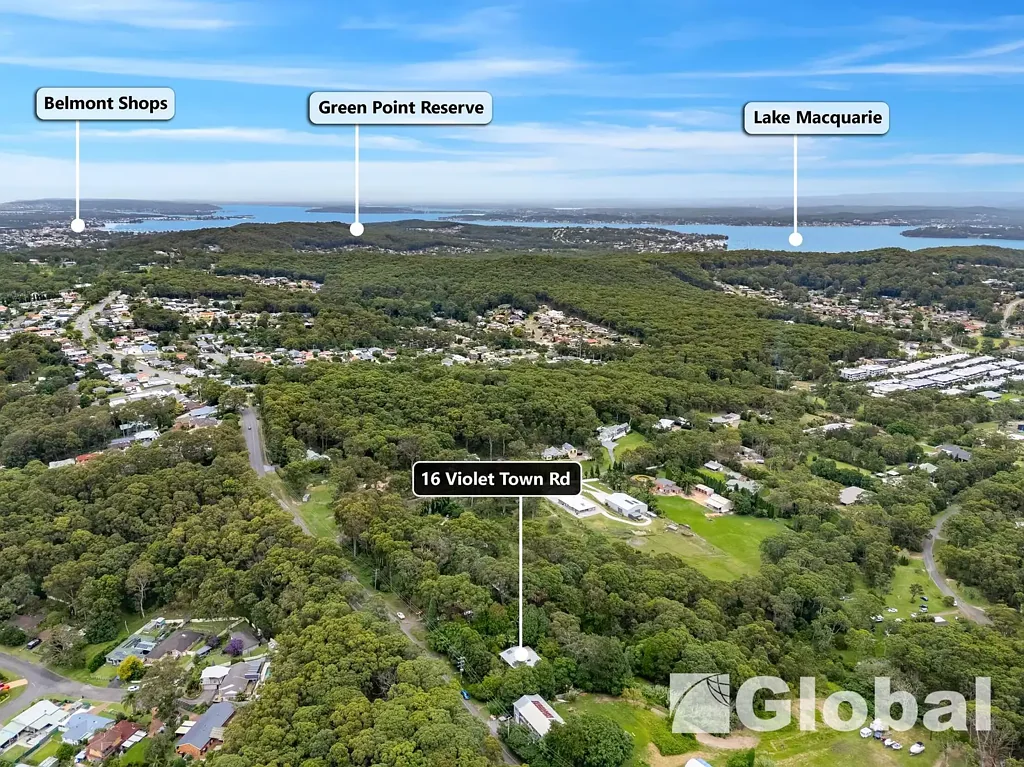 16 Violet Town Road, Mount Hutton, NSW 2290