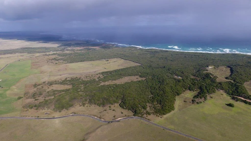 Nugara Coastal King Island