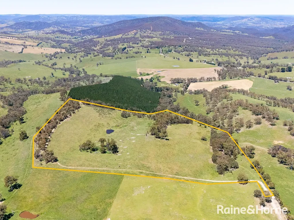 Meadow Flat PEACEFUL 60 ACRE ESCAPE IN MEADOW FLAT