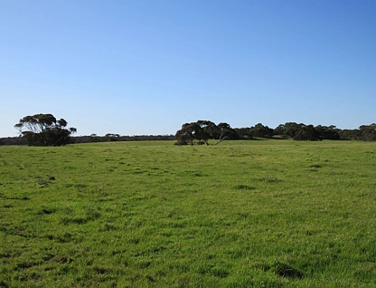 1467 Dark Island Well Road, Keith, South East, 4 Schlafzimmer, 2 Badezimmer, Lifestyle Property