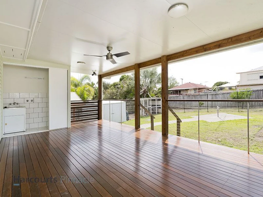 Cuteness Overload in Zillmere