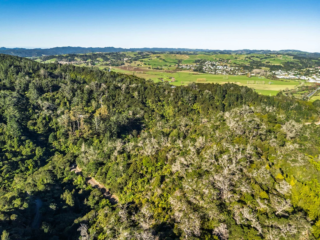 Kawakawa Nature Lovers