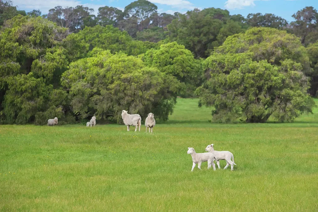 Kudardup PREMIUM RURAL LAND - UNDER OFFER