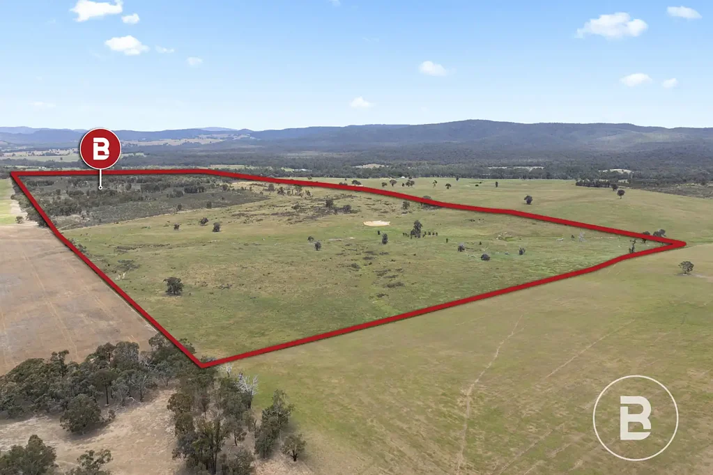 Moyreisk 119Ha (Approx. 295 Acres) - Well-Situated Grazing, Cropping or Lifestyle Opportunity