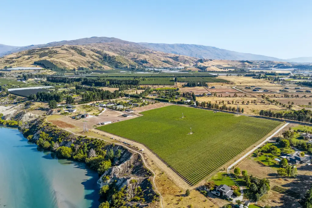 Cromwell Prime Vineyard Investment in Central Otago