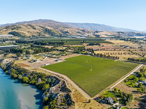 Cromwell Premium Vineyard, Prime Opportunity