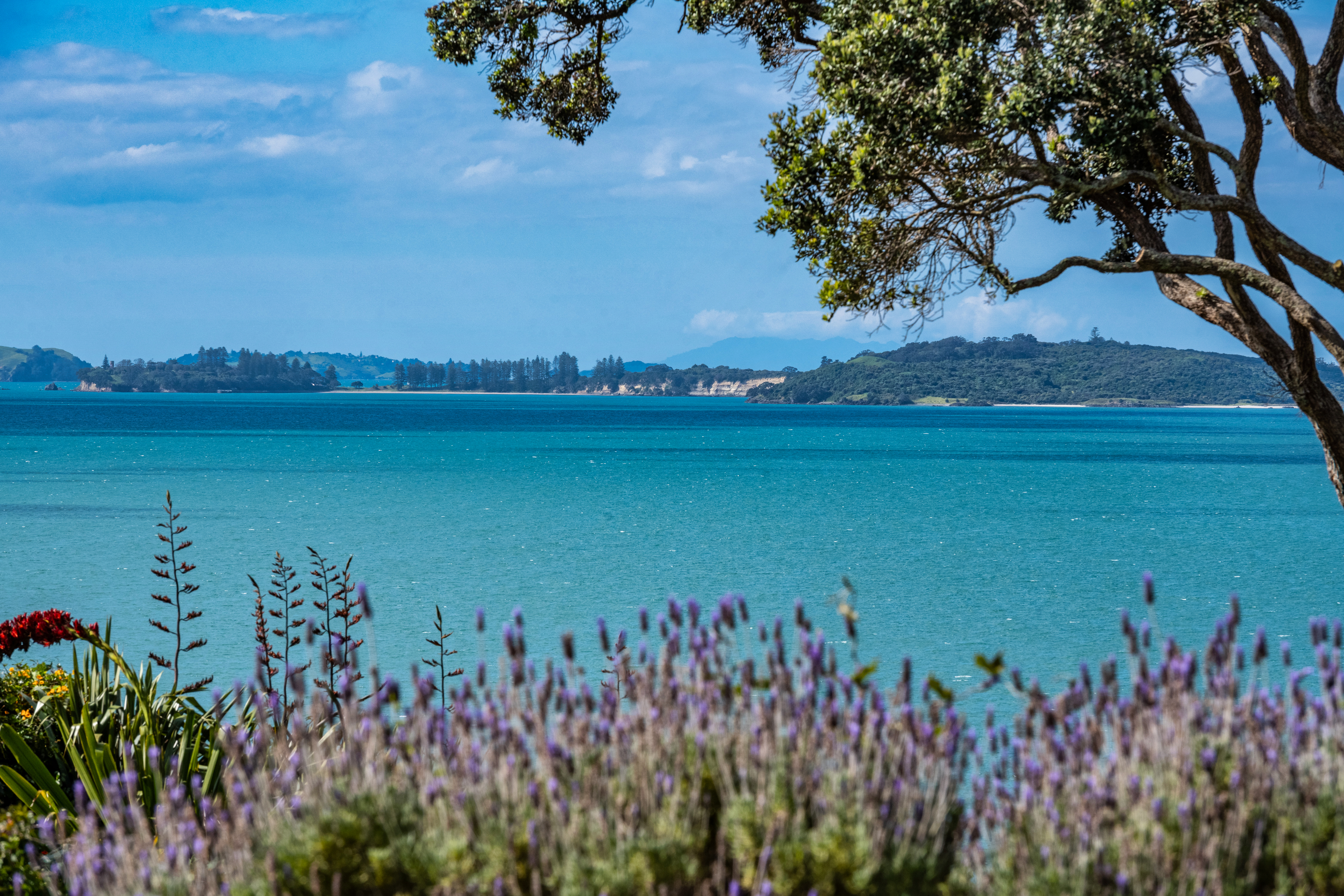 215 Bleakhouse Road, Mellons Bay, Auckland - Manukau, 23 phòng ngủ, 0 phòng tắm, Home & Income