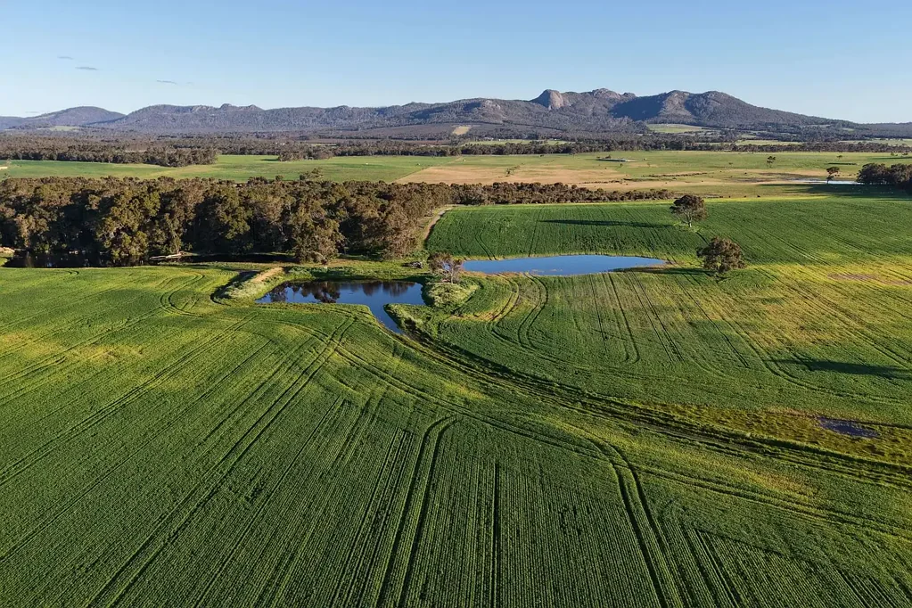 Porongurup 'Edinvale'