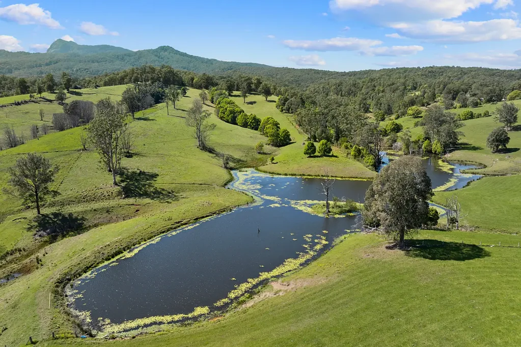 Brays Creek "Hazelnook" - Premium Tweed Valley Cattle Holding