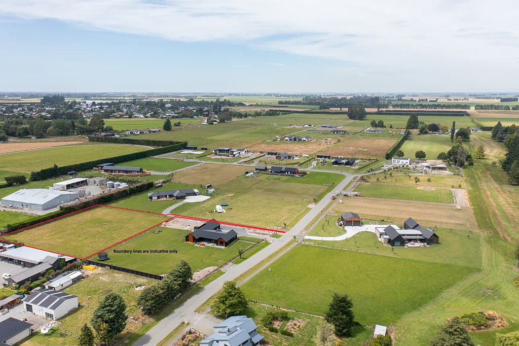 Methven Kakariki view
