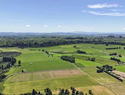 Generational Opportunities, Palmerston North, Manawatu, 0 침실, 0 욕실, Dairy